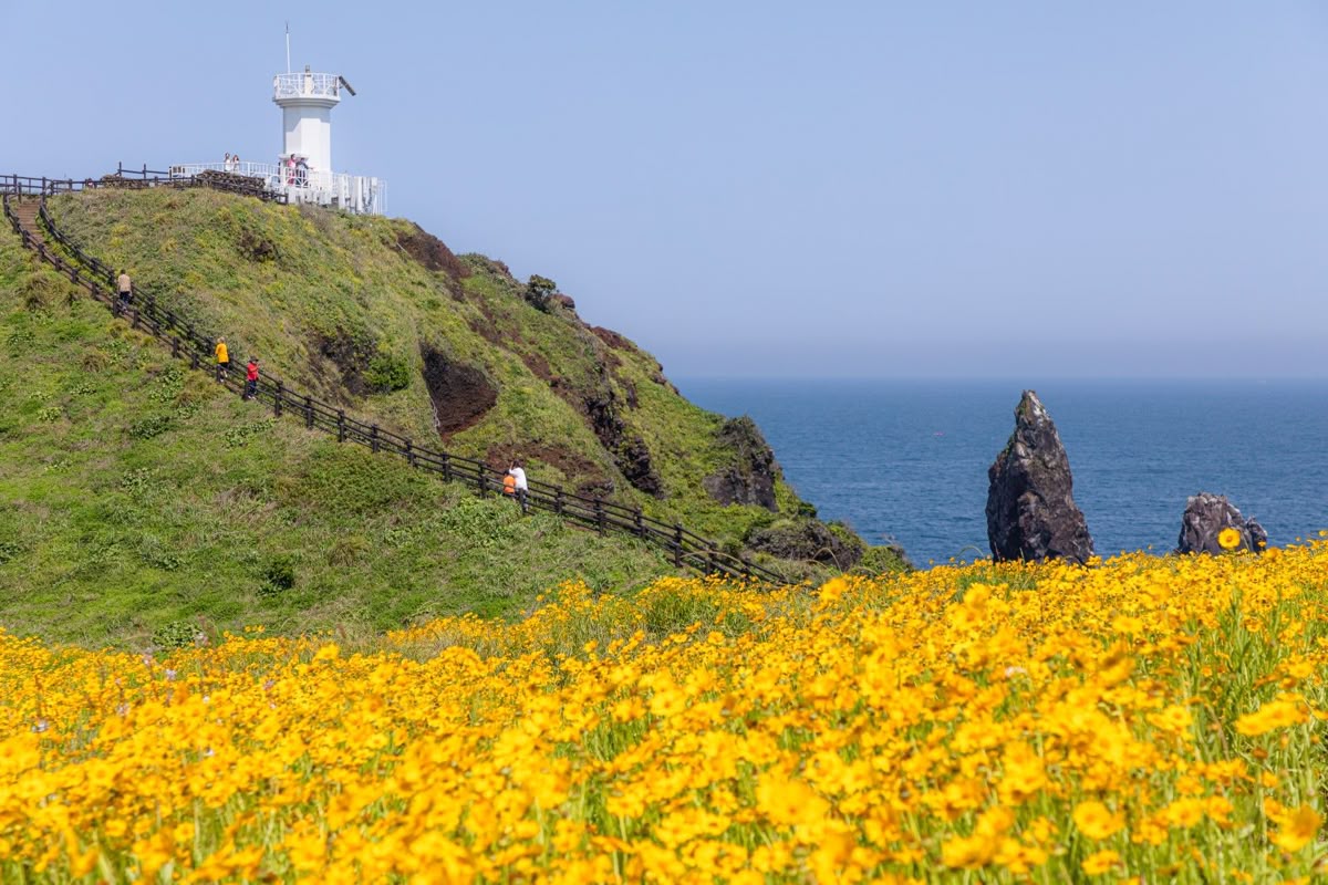 NGÀY 2: JEJU, HÀN QUỐC | NƠI MÙA HÈ TRỞ NÊN NHẸ NHÀNG HƠN 